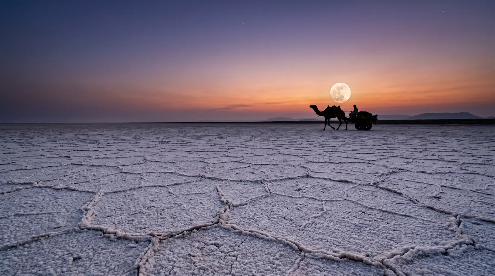 Saurashtra Heritage - Ahmedabad, Dwarka, Somnath, Gir, Junagadh & Palitana photo 1