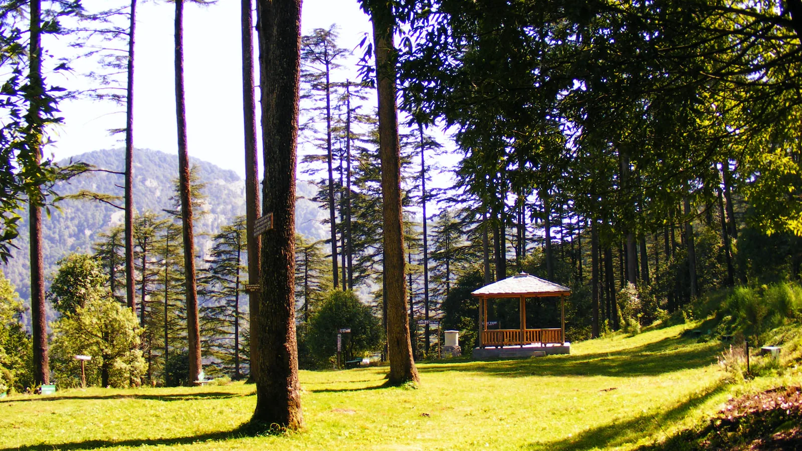 Mussoorie & Garhwal Hills — Dehradun, Mussoorie, Dhanaulti, Kanatal, Tehri & Haridwar photo 2
