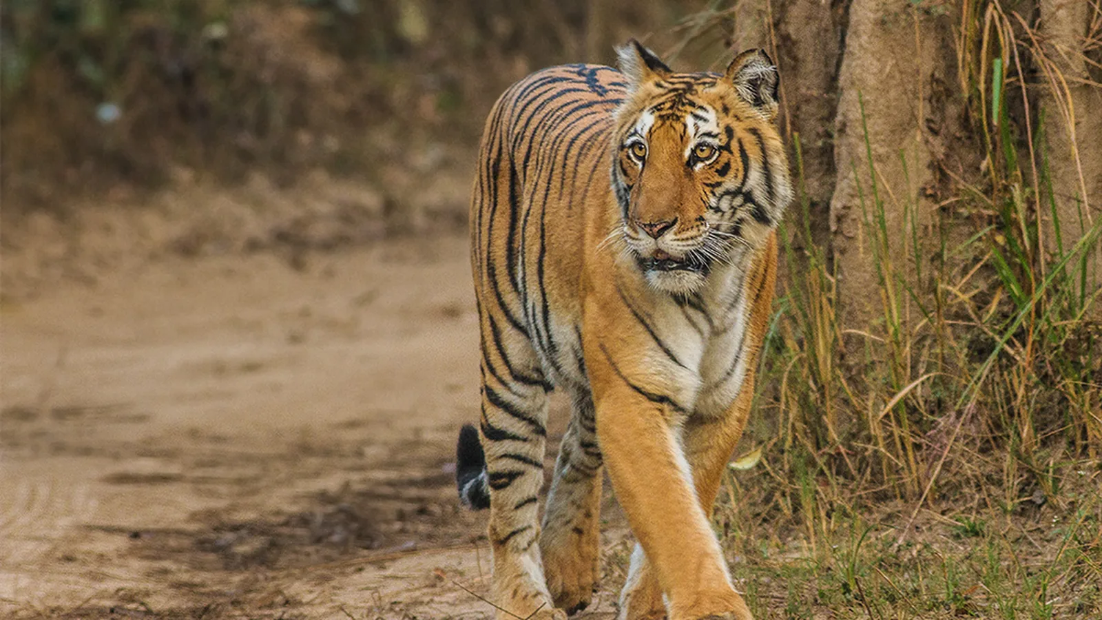 Uttarakhand gallery 5