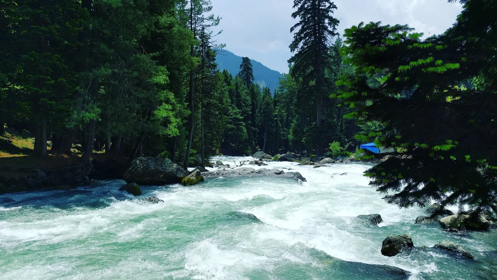 Kashmir gallery 3