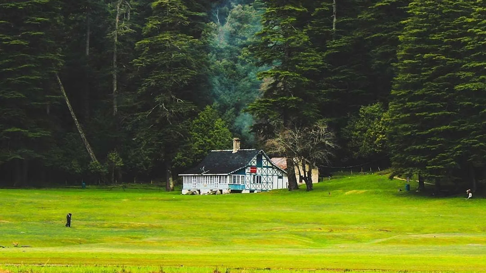Himachal Pradesh gallery 5