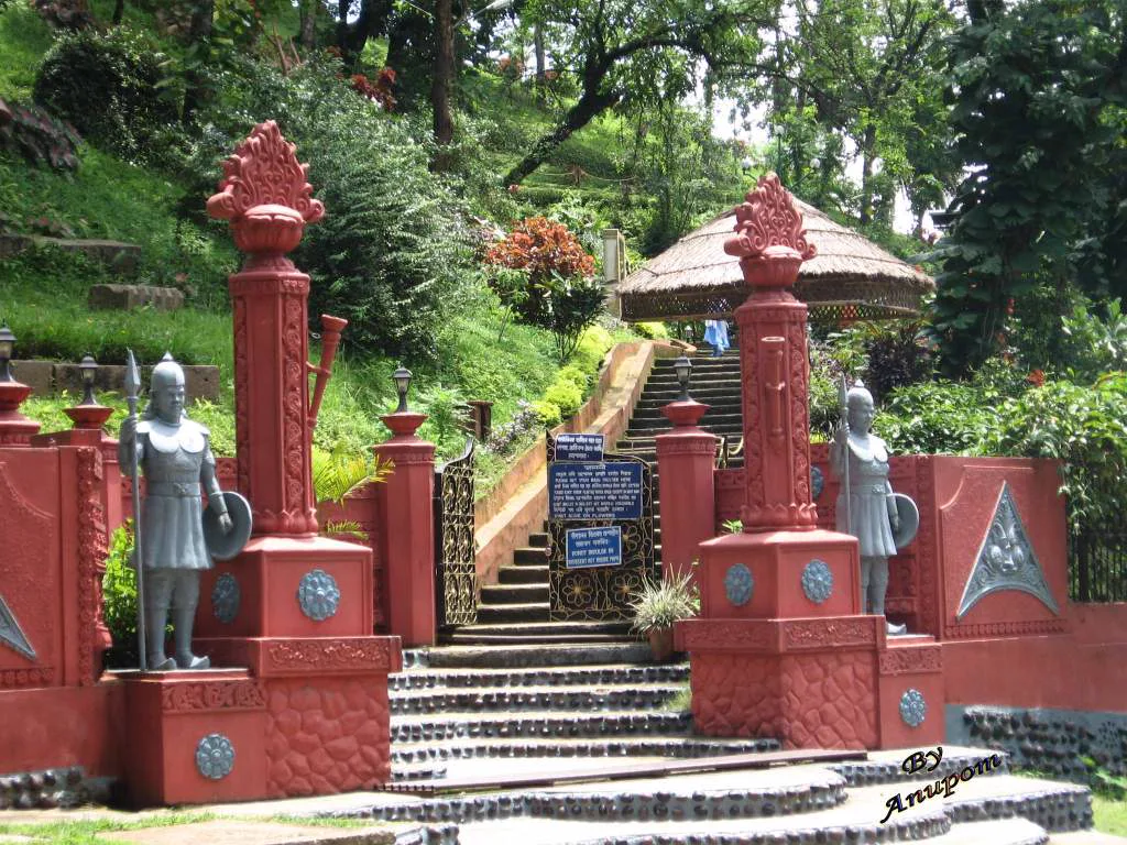 Assam gallery 12