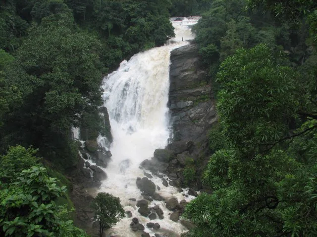 Scenic Arrival in Munnar