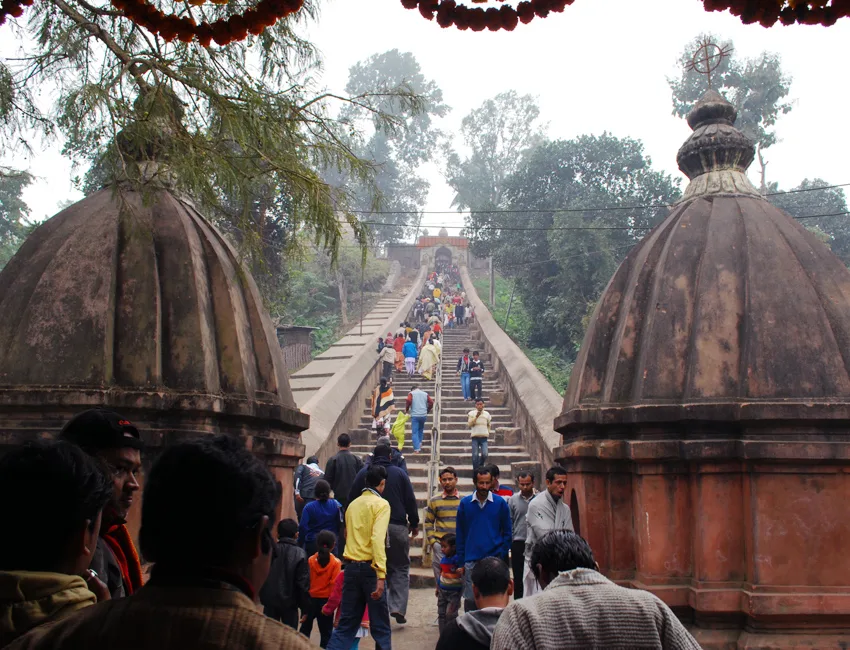 Assam gallery 13