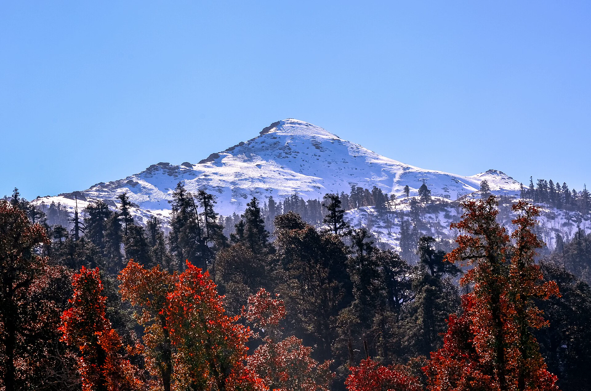 Auden's Col Expedition Trek
