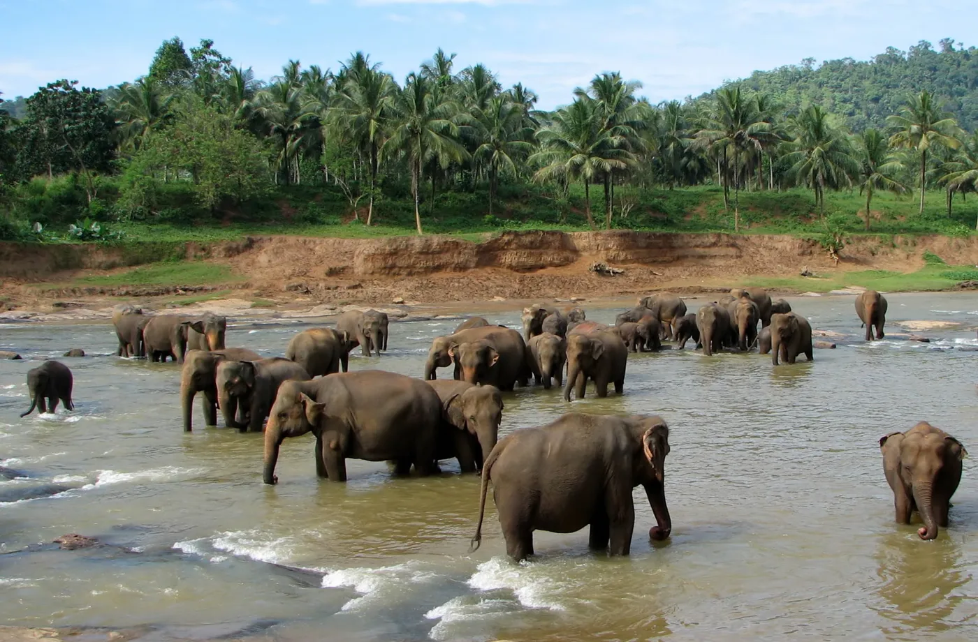 Arrive Colombo – Dambulla