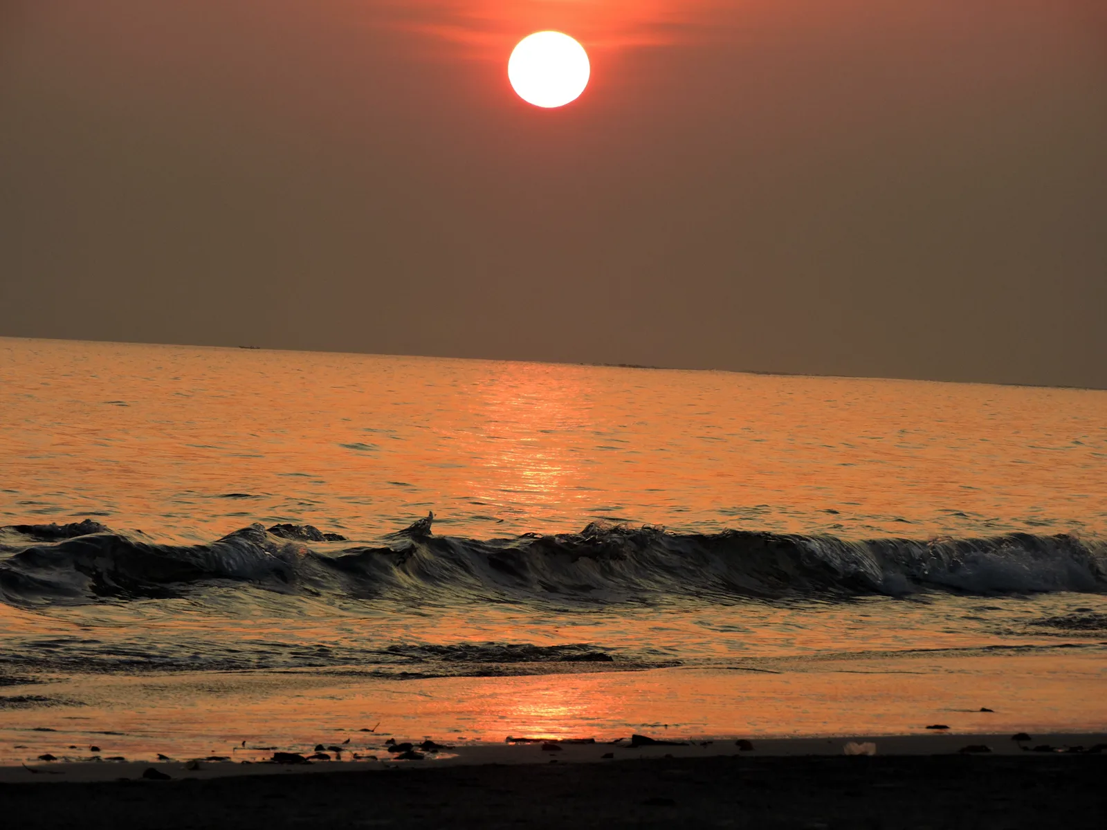 Andaman Extended - Port Blair, Havelock, Neil & Baratang (8 Days)